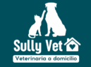 Sully Vet